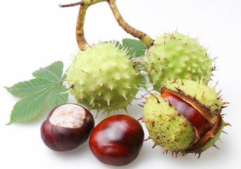 Los frutos del castaño son ricos en muchas vitaminas y microelementos valiosos que son beneficiosos para la próstata.